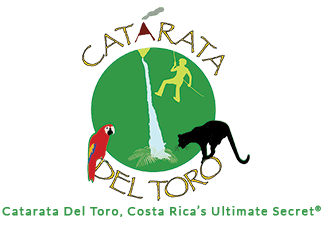 logo - Catarata Del Toro 003