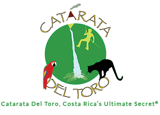 Catarata Del Toro Logo 3