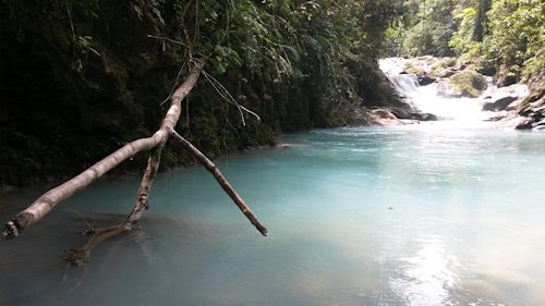 Blue Falls of Costa Rica - poza