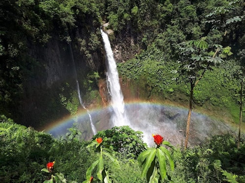 Catarata Del Toro - rainbow
