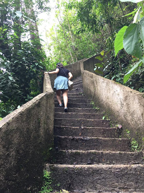 Catarata Del Toro steps
