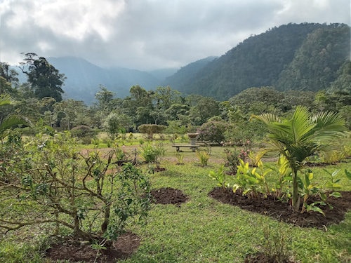 Vista al jardín