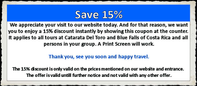 Coupon English