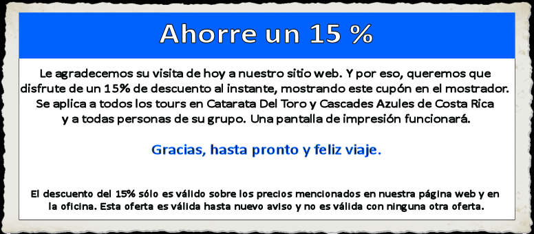 Coupon English