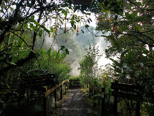 Catarata Del Toro