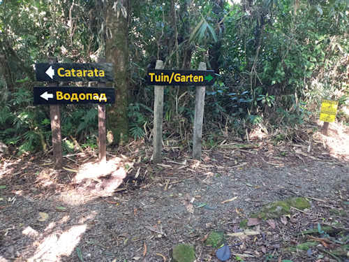 Catarata Del Toro